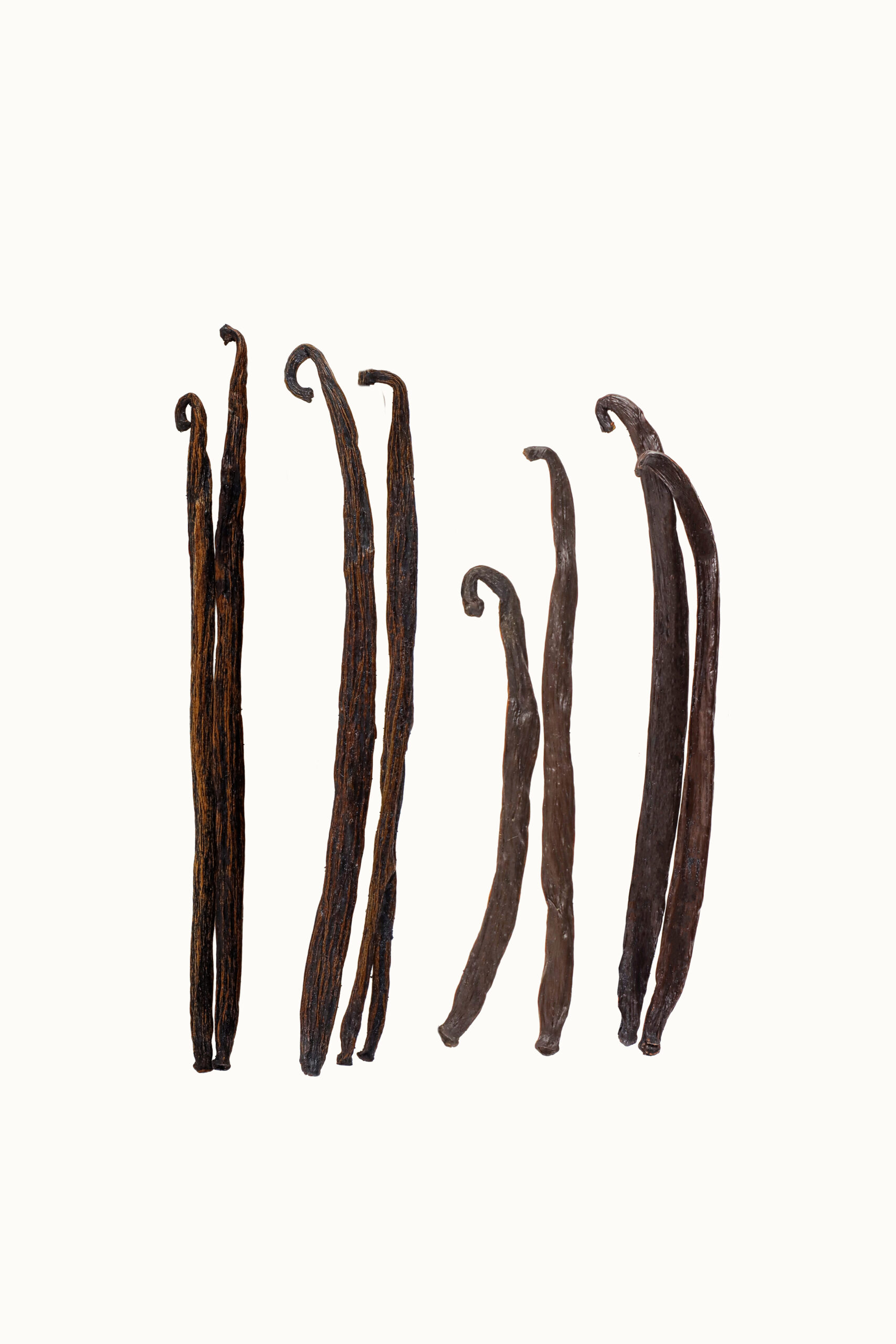 Vainilla Beneficiada - Imagen 2