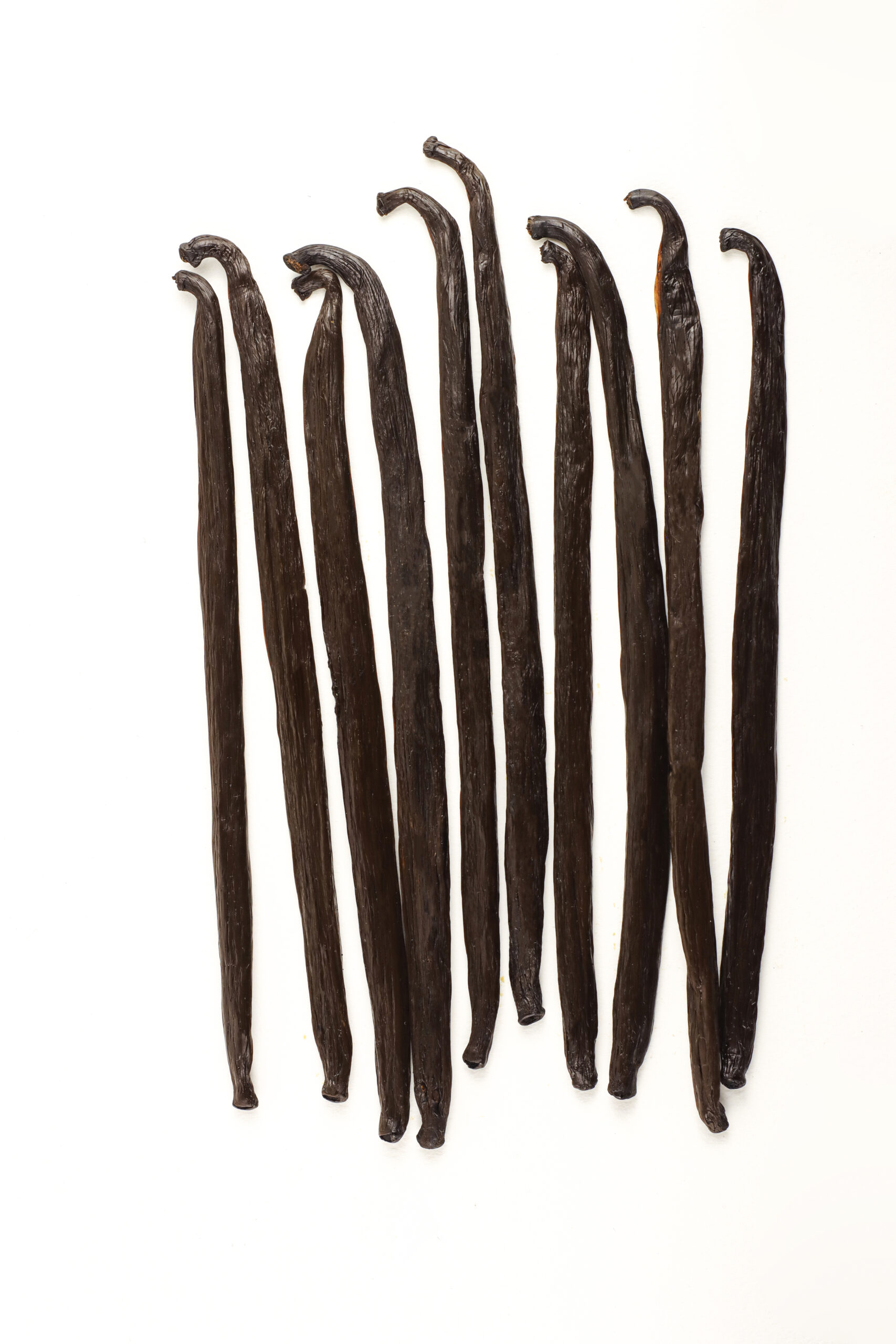 Vainilla Beneficiada - Imagen 3